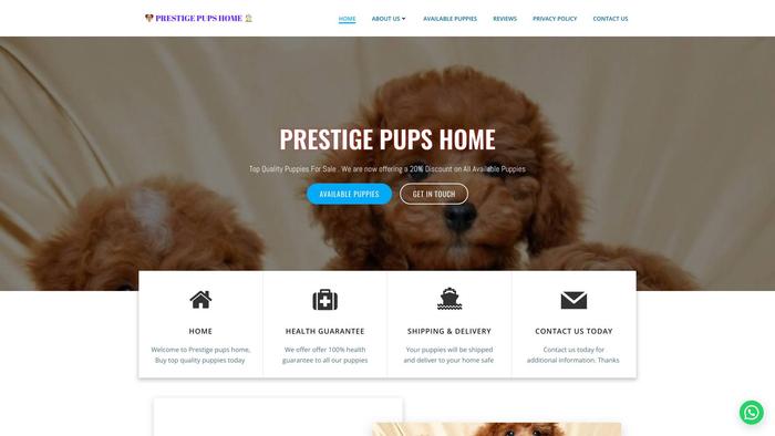 Prestigepupshome.com - Golden Doodle Puppy Scam Review