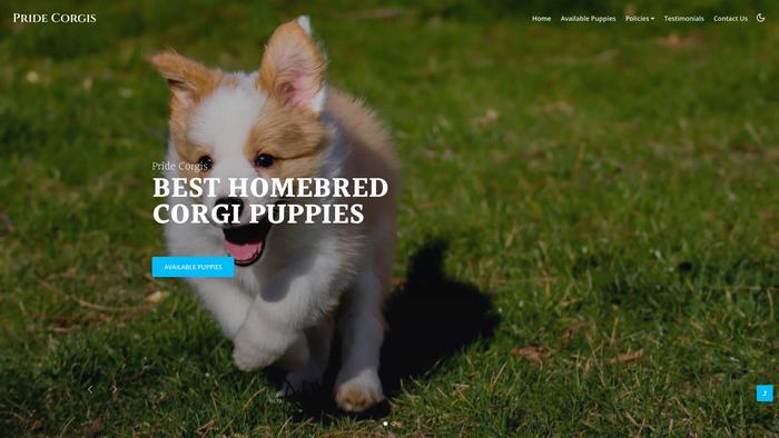 Pridecorgis.com - Corgi Puppy Scam Review