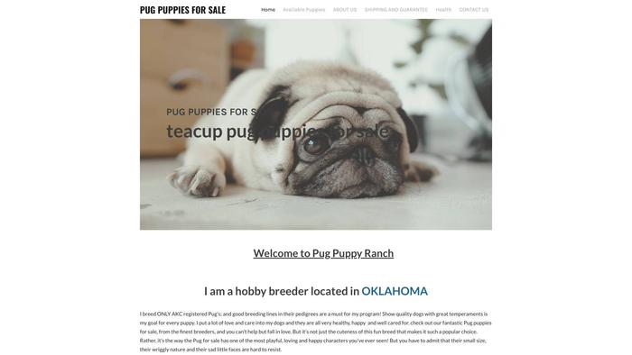 Pugpuppies.company.com - Pug Puppy Scam Review