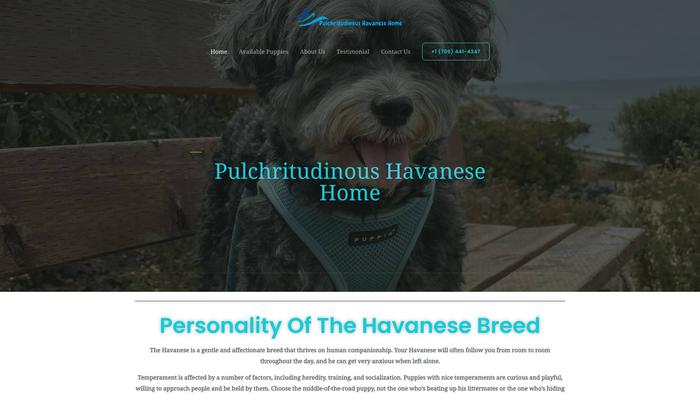 Pulchritudinoushavanesehome.com - Havanese Puppy Scam Review