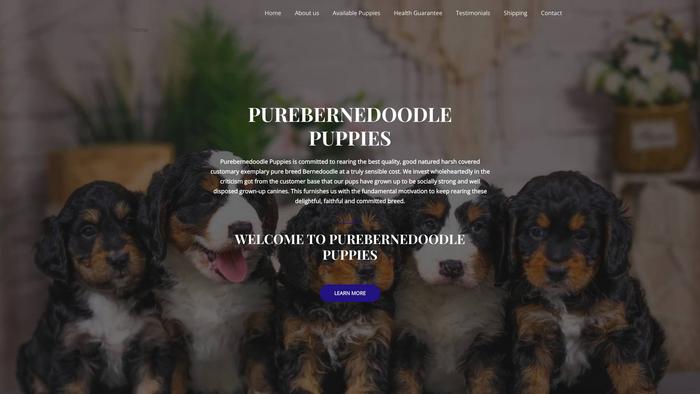 Purebernadoodles.com - Bernedoodle Puppy Scam Review