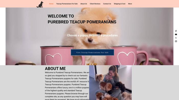 Purebredteacuppomeranians.com - Pomeranian Puppy Scam Review