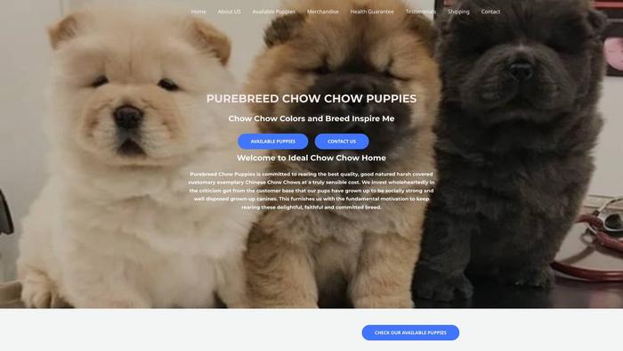 Purebreedchowpuppiesforsale.com - Chowchow Puppy Scam Review