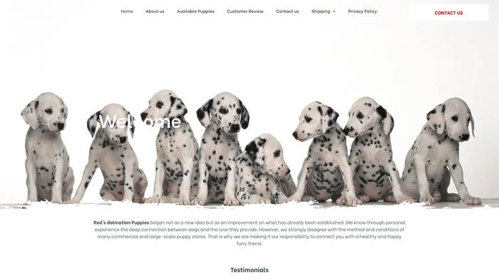 Redsdalmatianpuppies.com - Labrador Puppy Scam Review