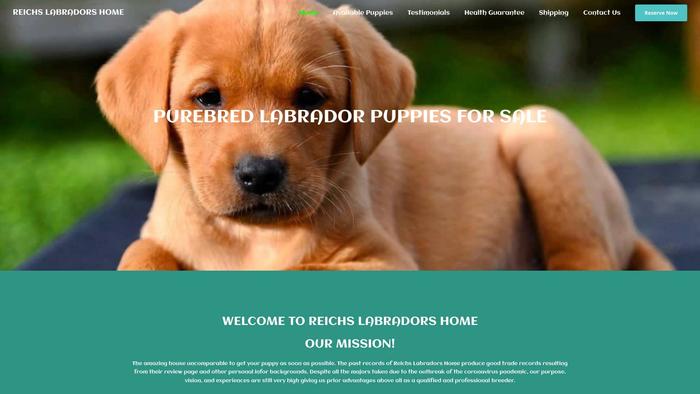 Reichslabradorshome.com - Labrador Puppy Scam Review