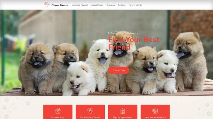 Renfrosfluffyangels.com - Chowchow Puppy Scam Review