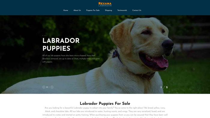 Rexanalabradorpuppies.com - Labrador Puppy Scam Review