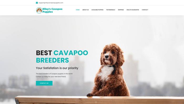 Rileycavapoopuppies.com - Cavapoo Puppy Scam Review