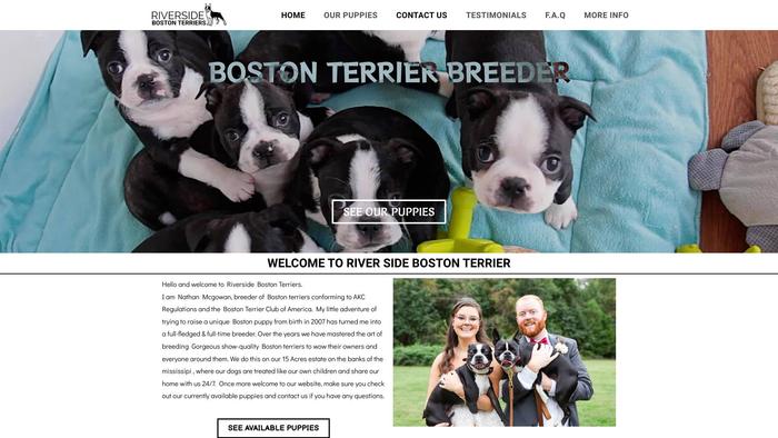 Riversidebostons.com - Boston Terrier Puppy Scam Review