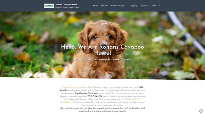 Rohanscavapoopuppieshome.com - Cavapoo Puppy Scam Review