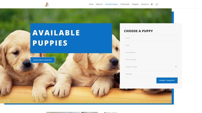 Roxgoldenretrieverpups.com - Golden Retriever Puppy Scam Review