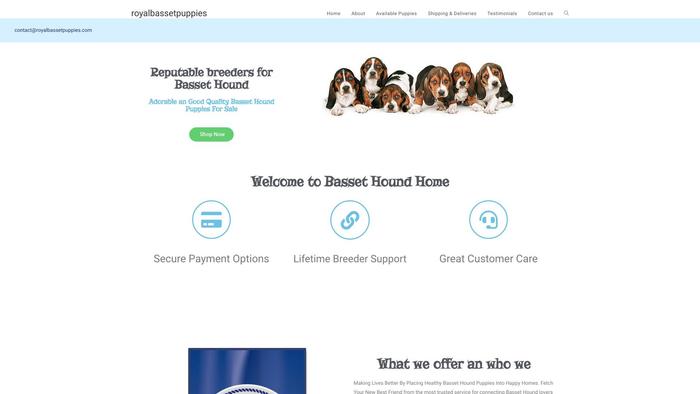 Royalbassetpuppies.com - Bassethound Puppy Scam Review