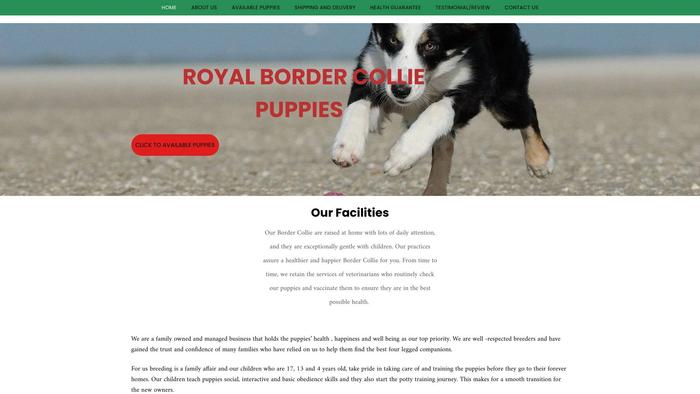 Royalbordercolliehome.com - Bordercollie Puppy Scam Review