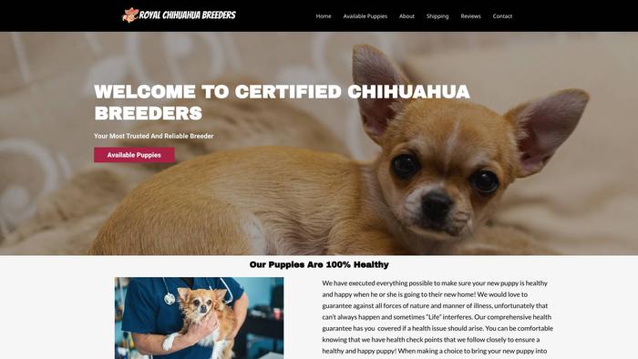 Royalchihuahuabreeders.com - Chihuahua Puppy Scam Review