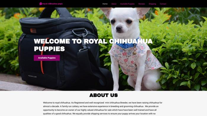 Royalchihuahuapups.com - Chihuahua Puppy Scam Review