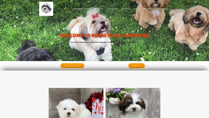 Royalflushhavanese.co - Havanese Puppy Scam Review