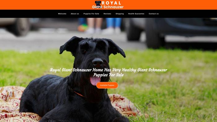 Royalhomegiantschnauzer.com - Schnauzer Puppy Scam Review