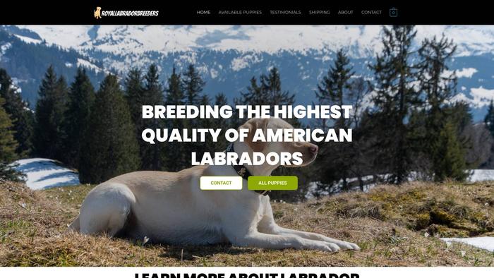 Royallabradorbreeders.com - Labrador Puppy Scam Review