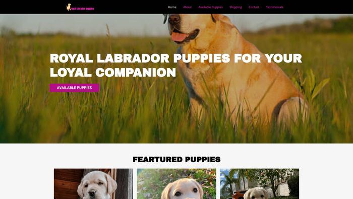 Royallabradorpuppies.com - Labrador Puppy Scam Review