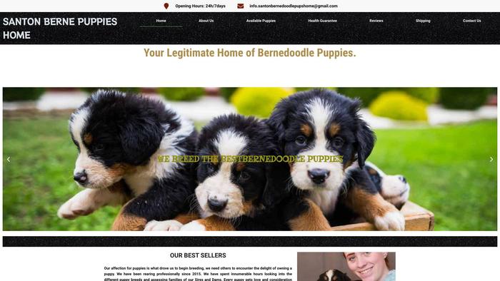 Santonbernedoodlepupshome.com - Bernedoodle Puppy Scam Review