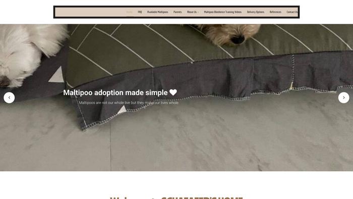 Schaeafershome.com - Maltipoo Puppy Scam Review