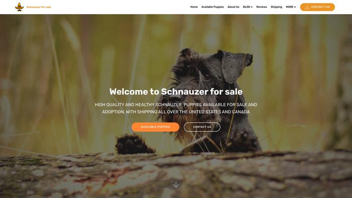 Schnauzerpuppies.su - Schnauzer Puppy Scam Review