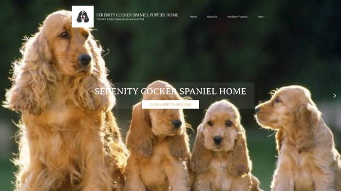 Serenitycockerspanielhome.com - Cockerspaniel Puppy Scam Review