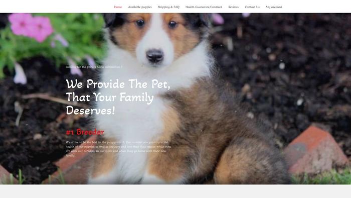 Sheeplandshepherd.online - Germanshepherd Puppy Scam Review