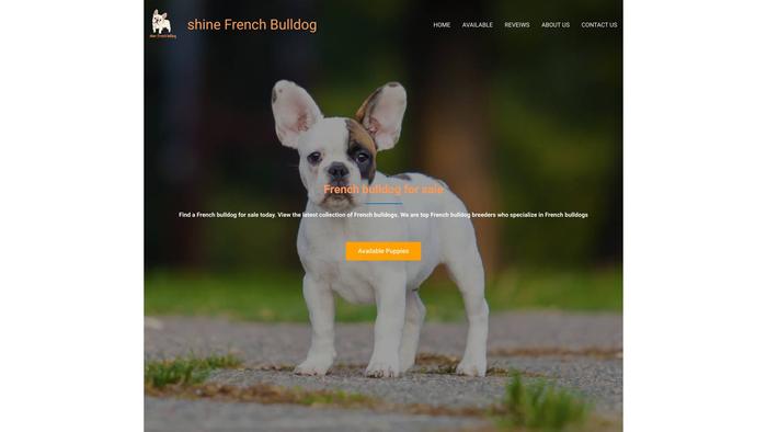 Shinefrenchbulldog.site - French Bulldog Puppy Scam Review