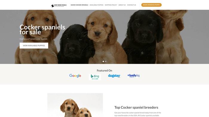 Showcockerspanielpuppies.com - Cockerspaniel Puppy Scam Review