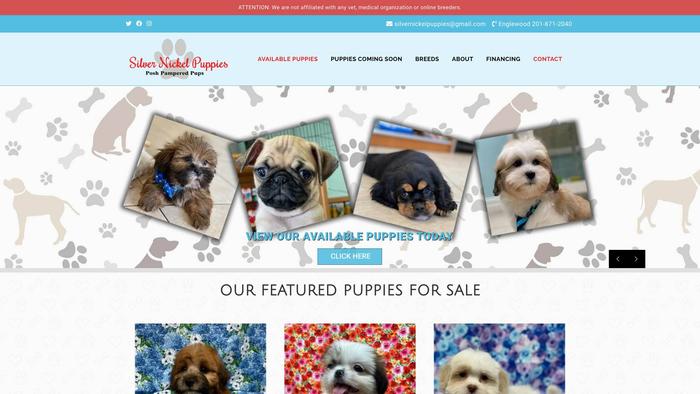 Silvernickelpuppies.com - Labradoodle Puppy Scam Review