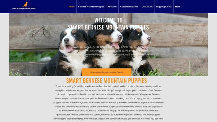 Smartbernesemountaindogs.com - Bernese Mountain Dog Puppy Scam Review