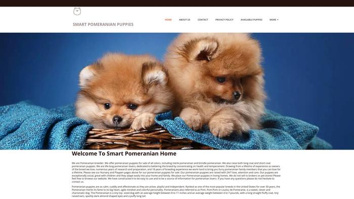 Smartpomeranianhome.com - Pomeranian Puppy Scam Review