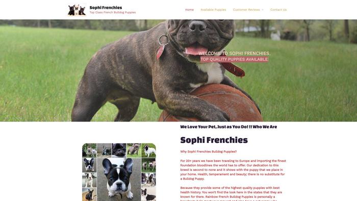 Sophifrenchies.com - French Bulldog Puppy Scam Review