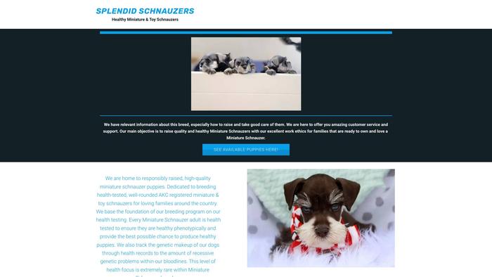 Splendidschnauzers.online - Schnauzer Puppy Scam Review