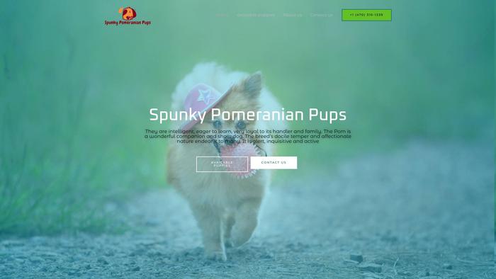 Spunkypomeranianpups.com - Pomeranian Puppy Scam Review