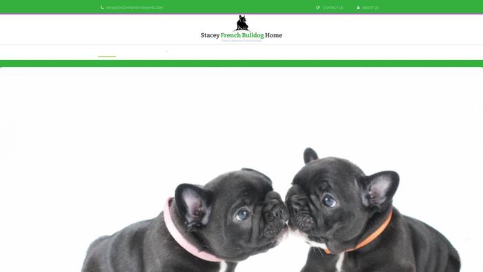 Staceyfrenchiehome.com - French Bulldog Puppy Scam Review