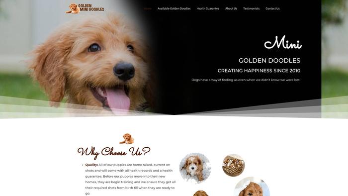 Standardgoldendoodlepups.com - Golden Doodle Puppy Scam Review