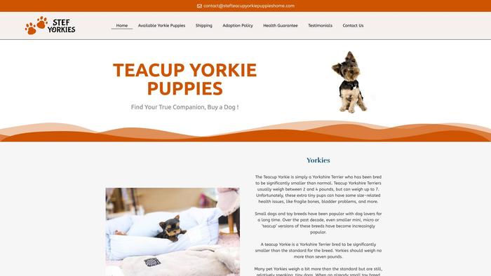 Stefteacupyorkiepuppieshome.com - Yorkshire Terrier Puppy Scam Review