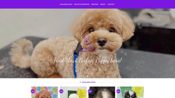 Studiomaltipoo.com - Maltipoo Puppy Scam Review