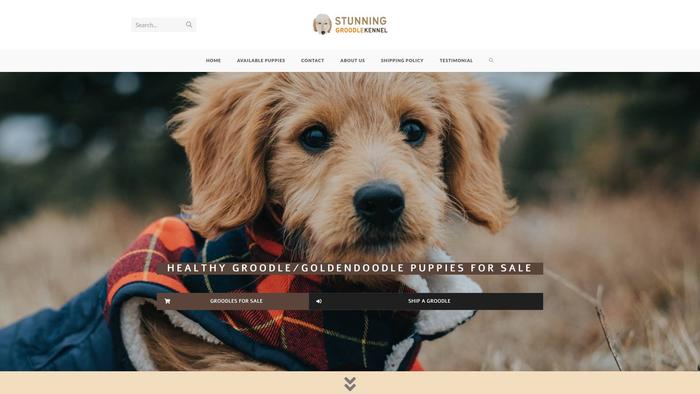 Stunninggroodles.com.au - Golden Doodle Puppy Scam Review