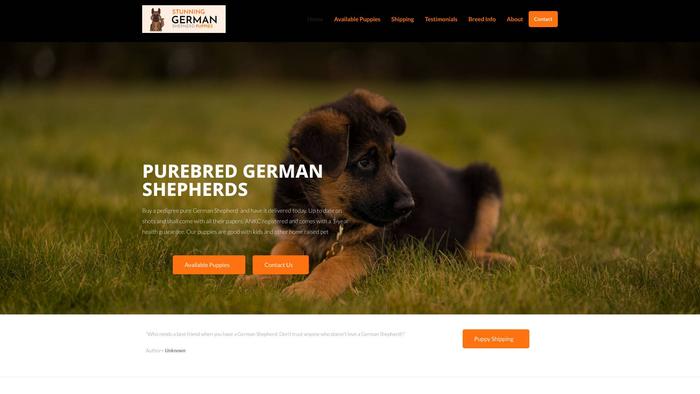 Stunninggsd.com.au - Germanshepherd Puppy Scam Review