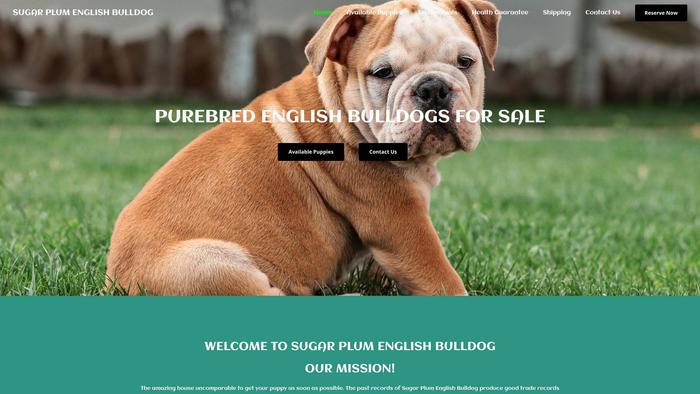 Sugarplumenglishbulldog.com - English Bulldog Puppy Scam Review