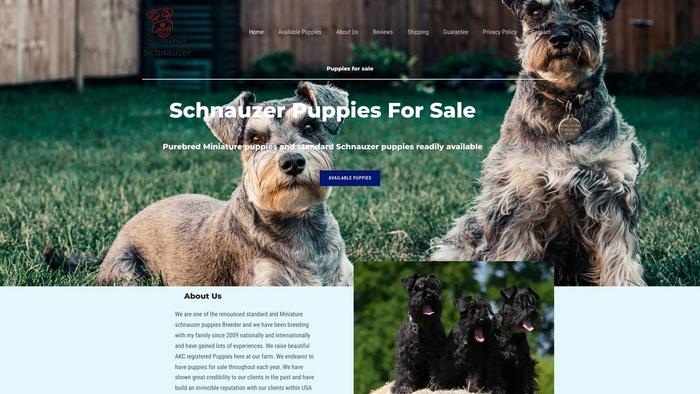 Summerschnauzer.com - Schnauzer Puppy Scam Review