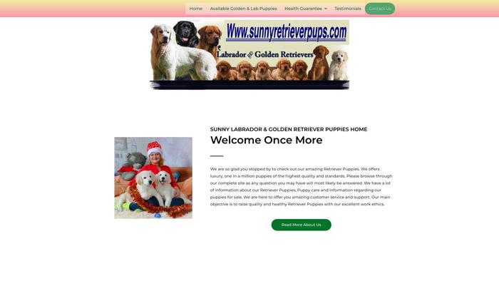 Sunnyretrieverpups.com - Golden Retriever Puppy Scam Review