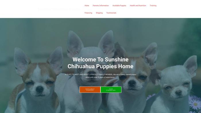 Sunshinechihuahuapups.com - Chihuahua Puppy Scam Review