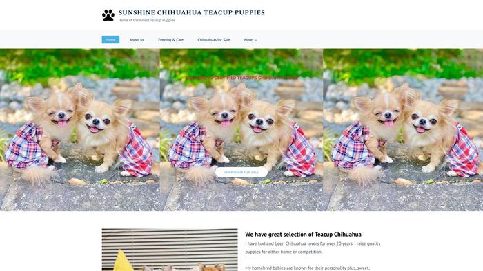 Sunshinechihuahuas.com - Chihuahua Puppy Scam Review