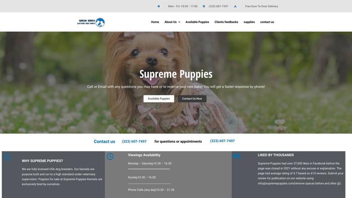 Supremepuppiesforsale.com - Dachshund Puppy Scam Review