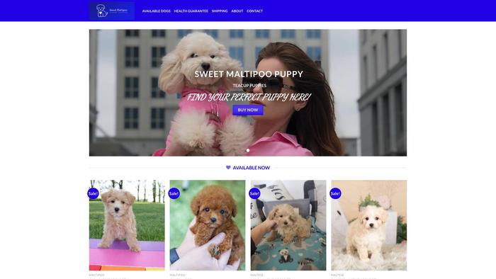 Sweetmaltipoo.com - Maltipoo Puppy Scam Review