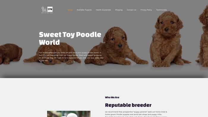 Sweettoypoodleworld.com - Poodle Puppy Scam Review